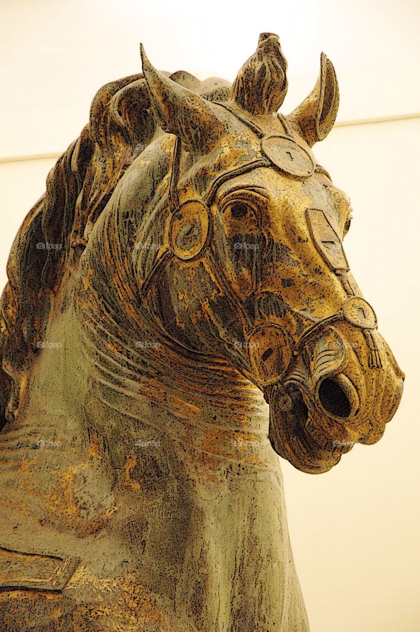 Horse statue in Rome