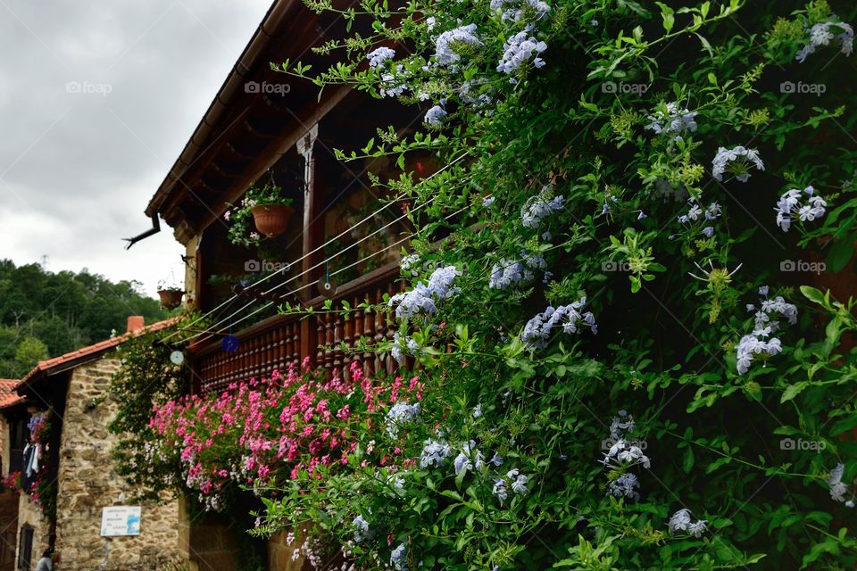 Typical balcony in Cantabria, Spain.