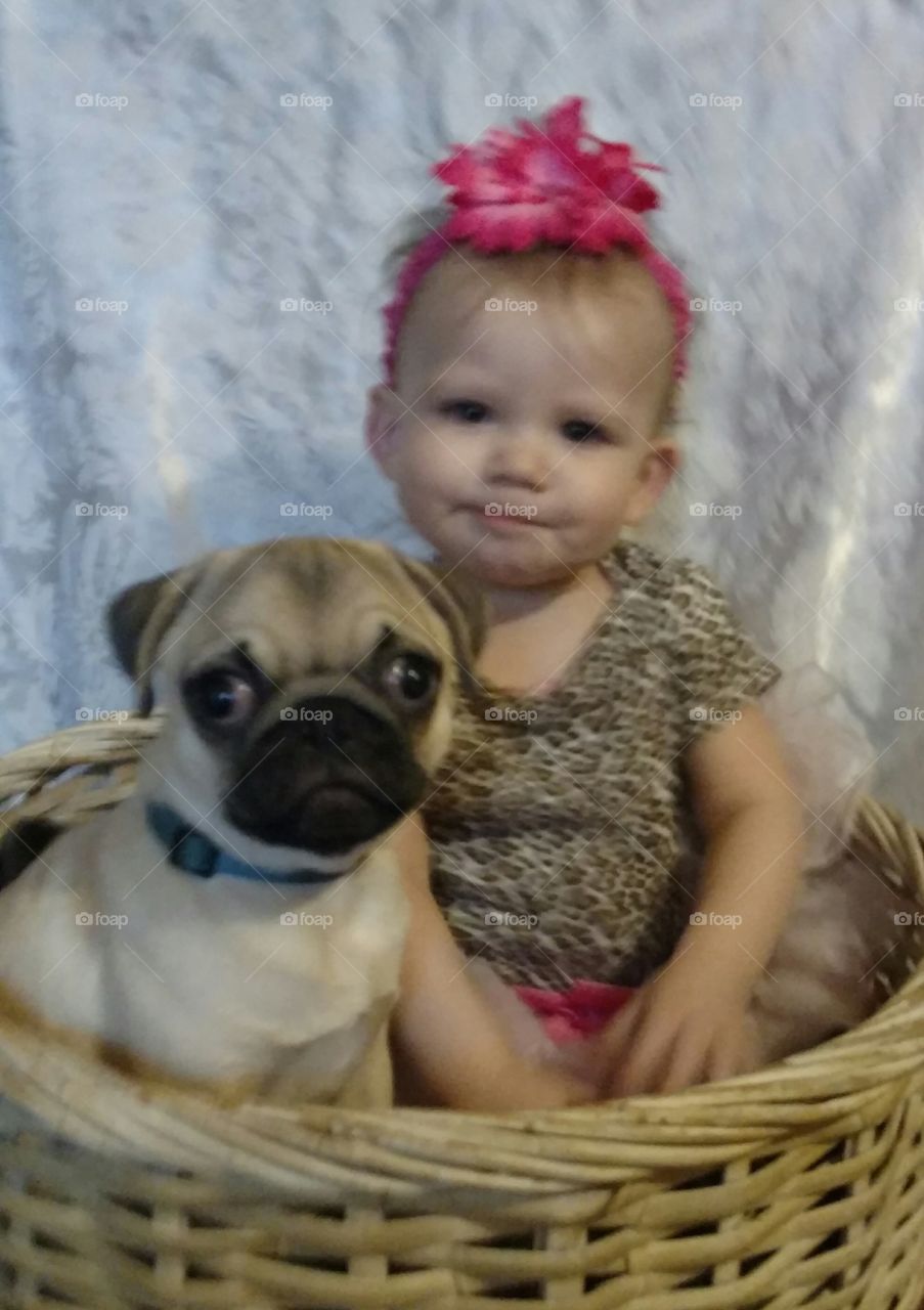 pug puppy and my little girl