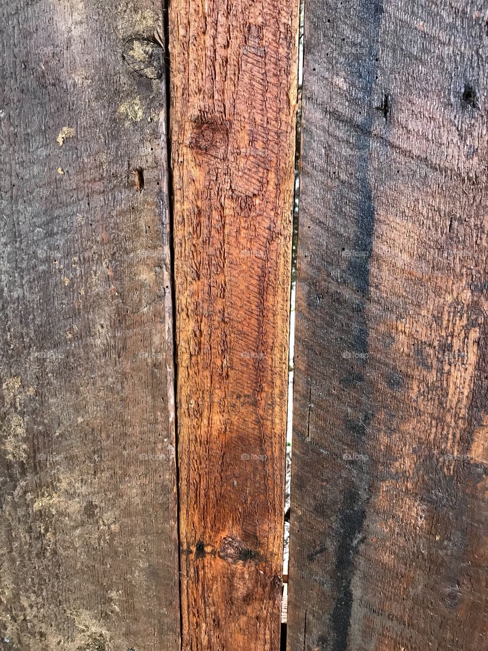 Barnwood 