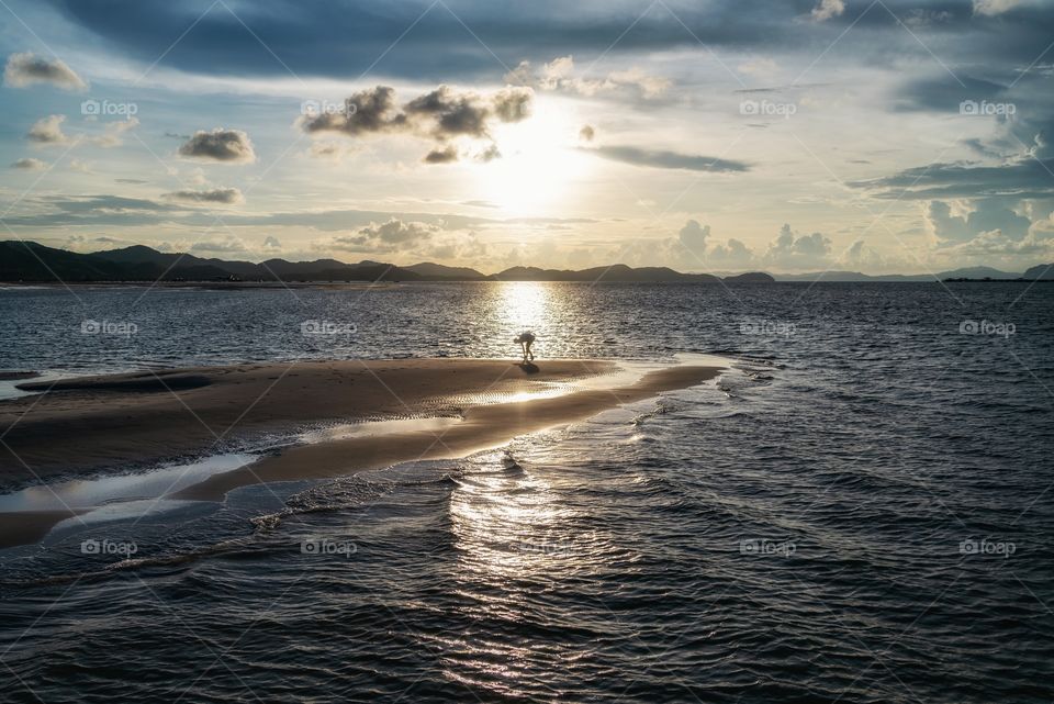 Enjoy on the beautiful summer beach