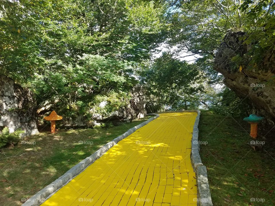 Follow the Yellow Brick Road