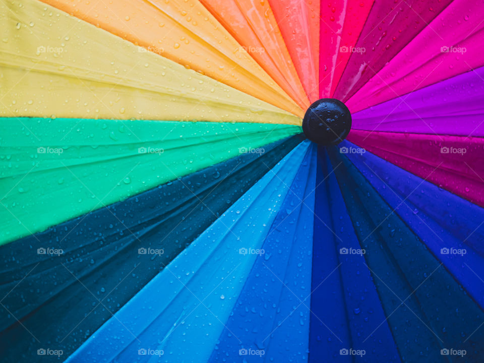 Close-up of umbrella and raindrops, top view