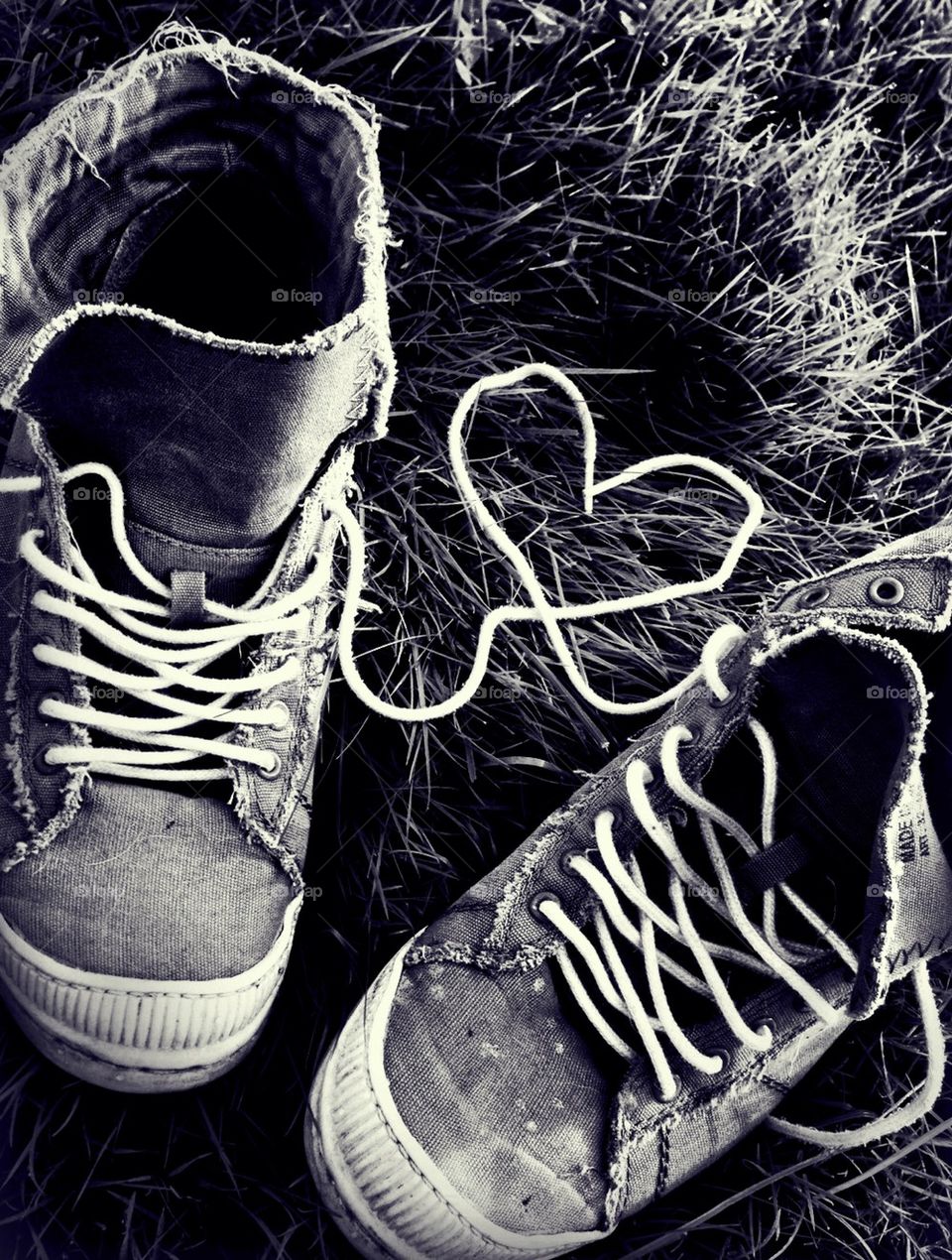 Heart shoe laces