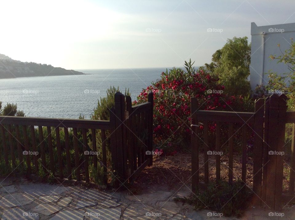 Wooden gate to happiness 