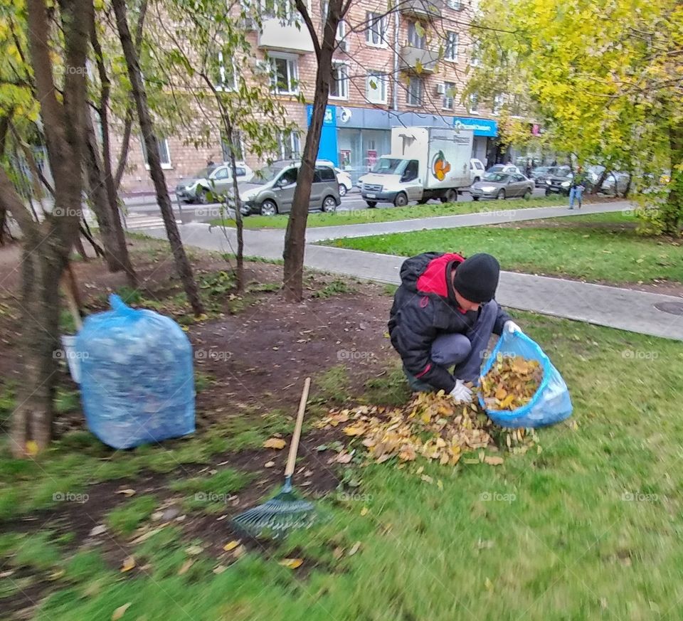 Autumn packing.