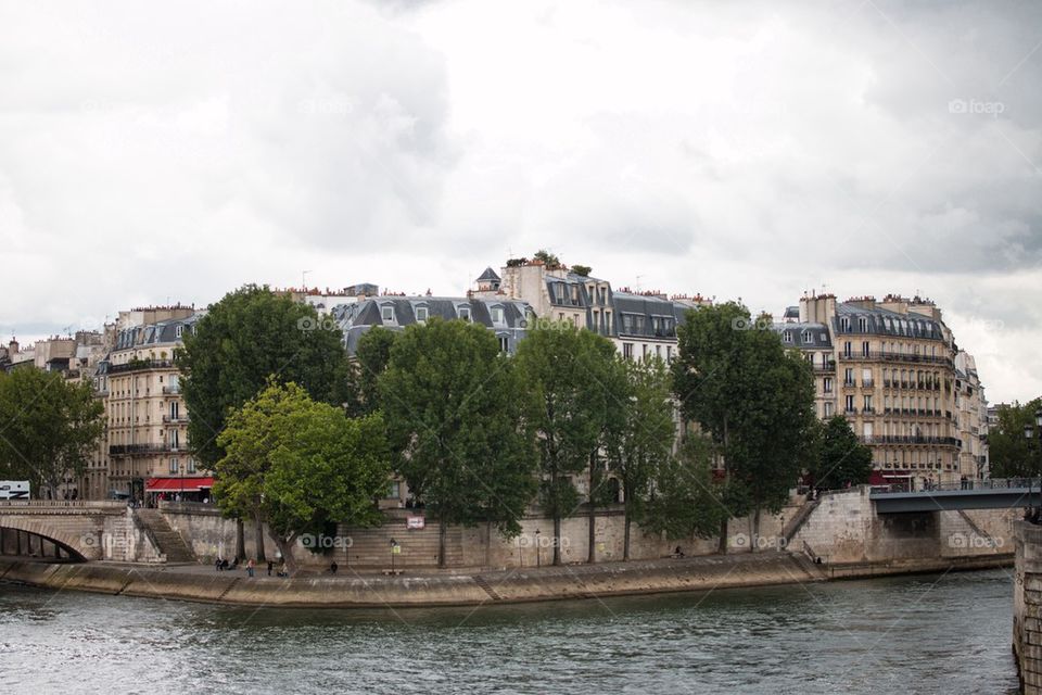 The Seine
