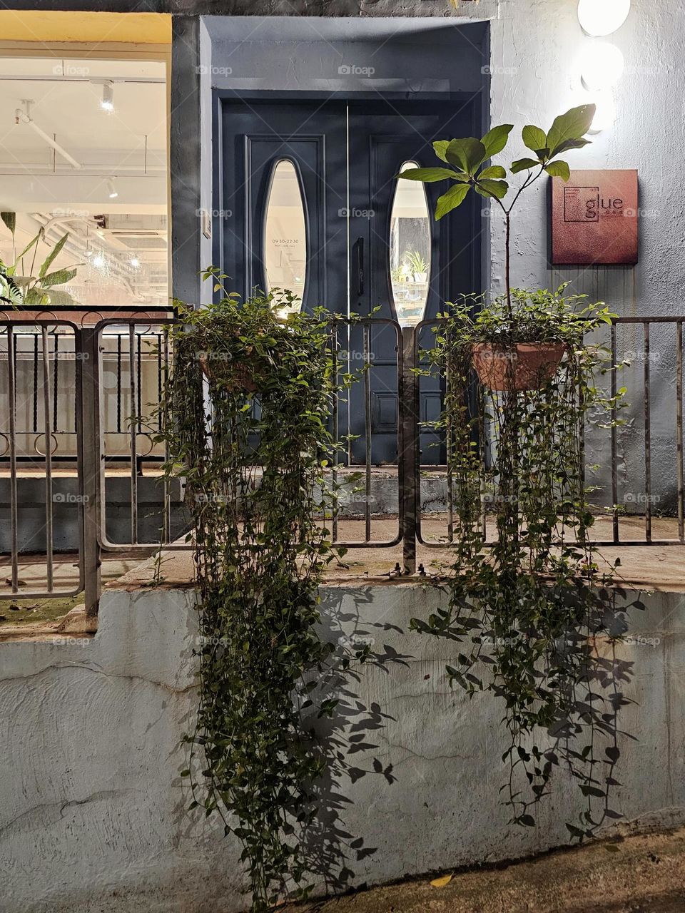 Hanging plants outside a building with blue doors