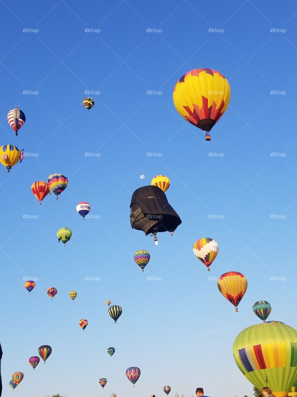 Hot Air Balloon Races in Reno, NV