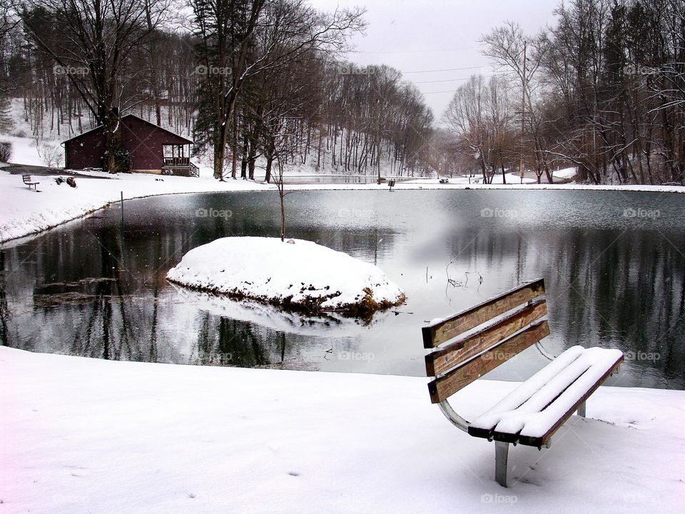 Winter Park Serenity