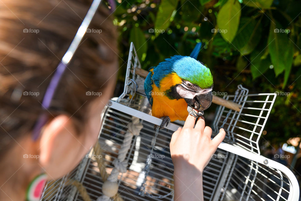 girl playing with a parrot