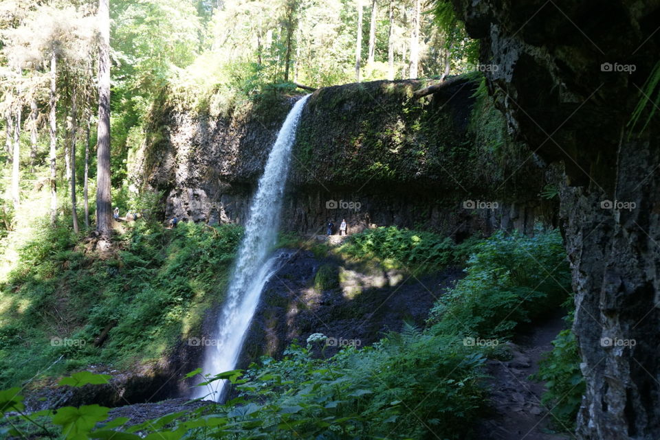 Waterfall. Silver creek falls