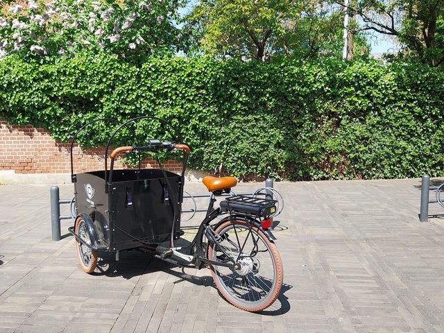 lonely bicycle