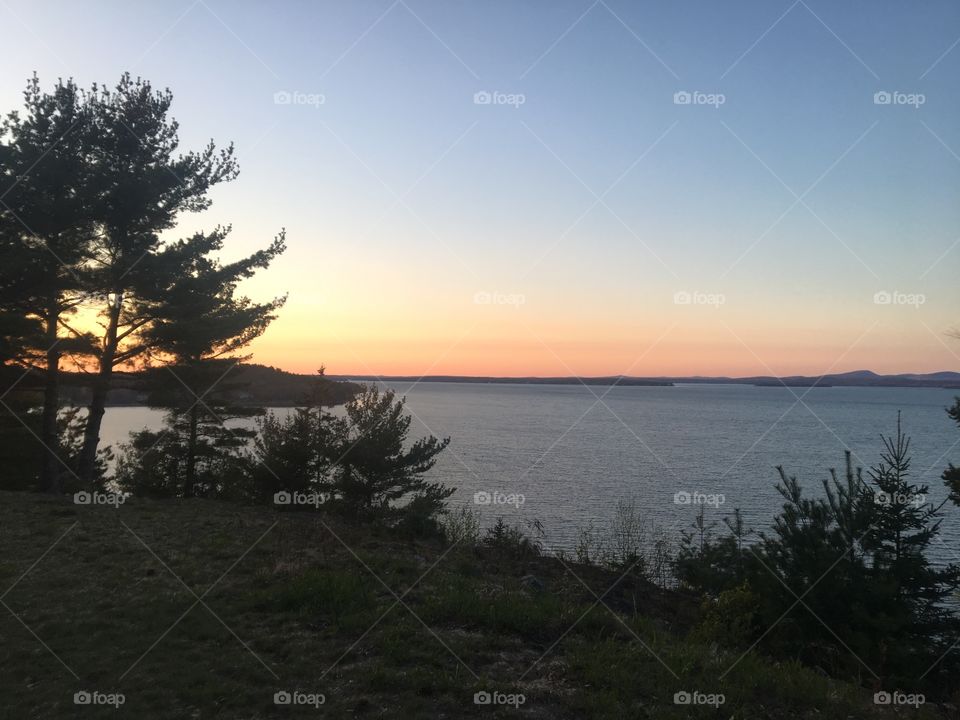 Acadian sunrise on the shore of a bay. Peach and yellow tones divide the blues of the sky and the water. A pine tree is silhouetted in the foreground   