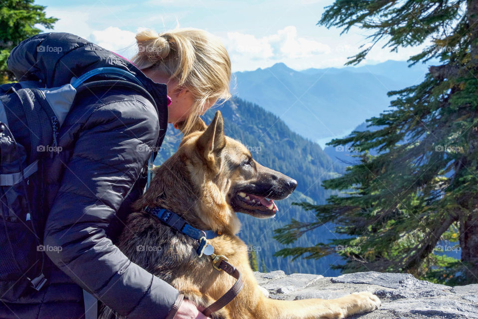 German Shepard enjoying the view of Mt Baker