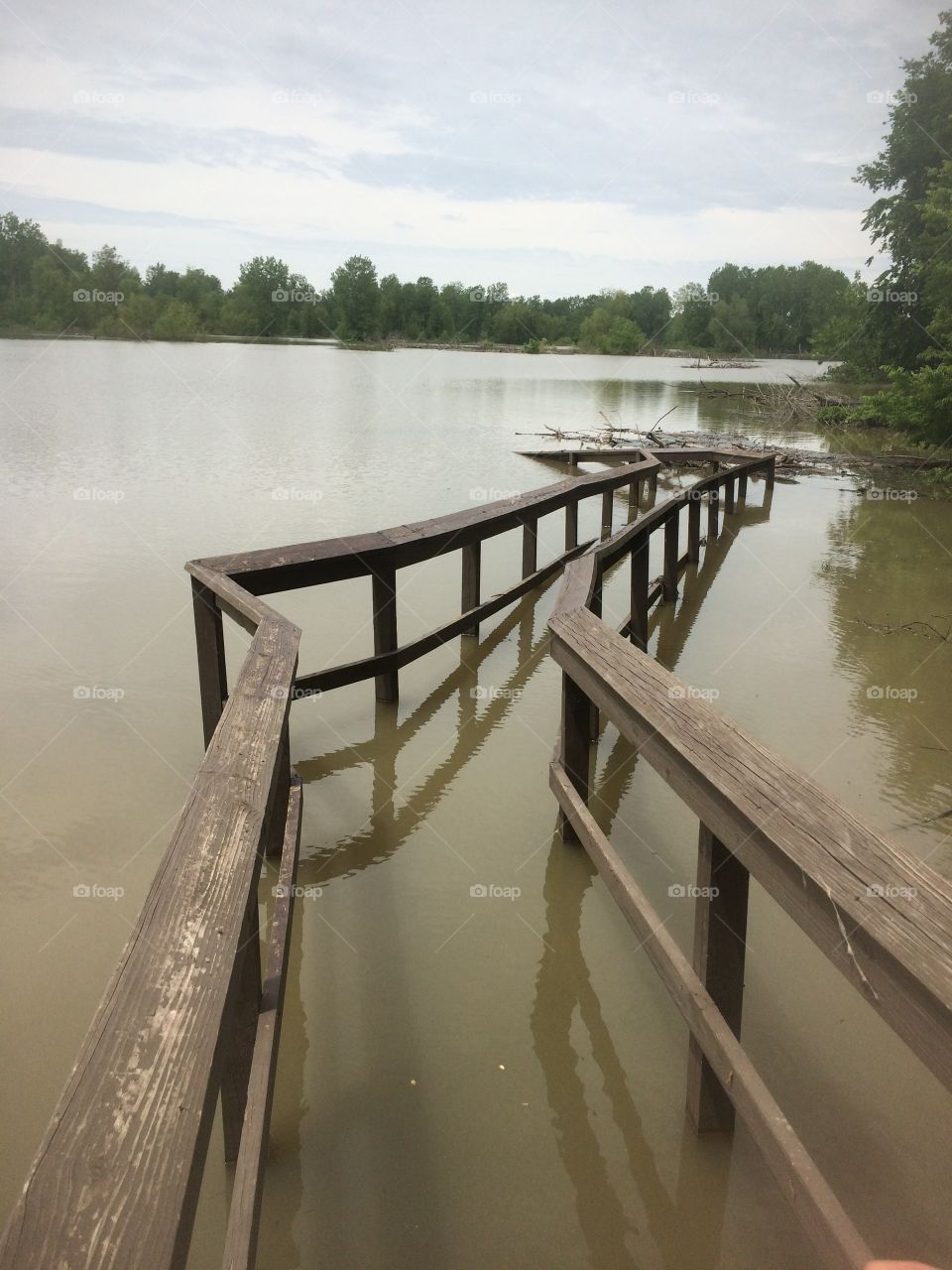 Bridge Under Troubled Water