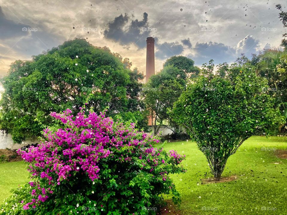 E chove em Itu…
Mas é “água mansa”, então tudo bem!
📸 
FOTOGRAFIAéNOSSOhobby
#entardecer #sunset #rain #chuva #sky #céu #natureza #horizonte #fotografia #paisagem #landscapes #inspiração #mobgrafia #XôStress