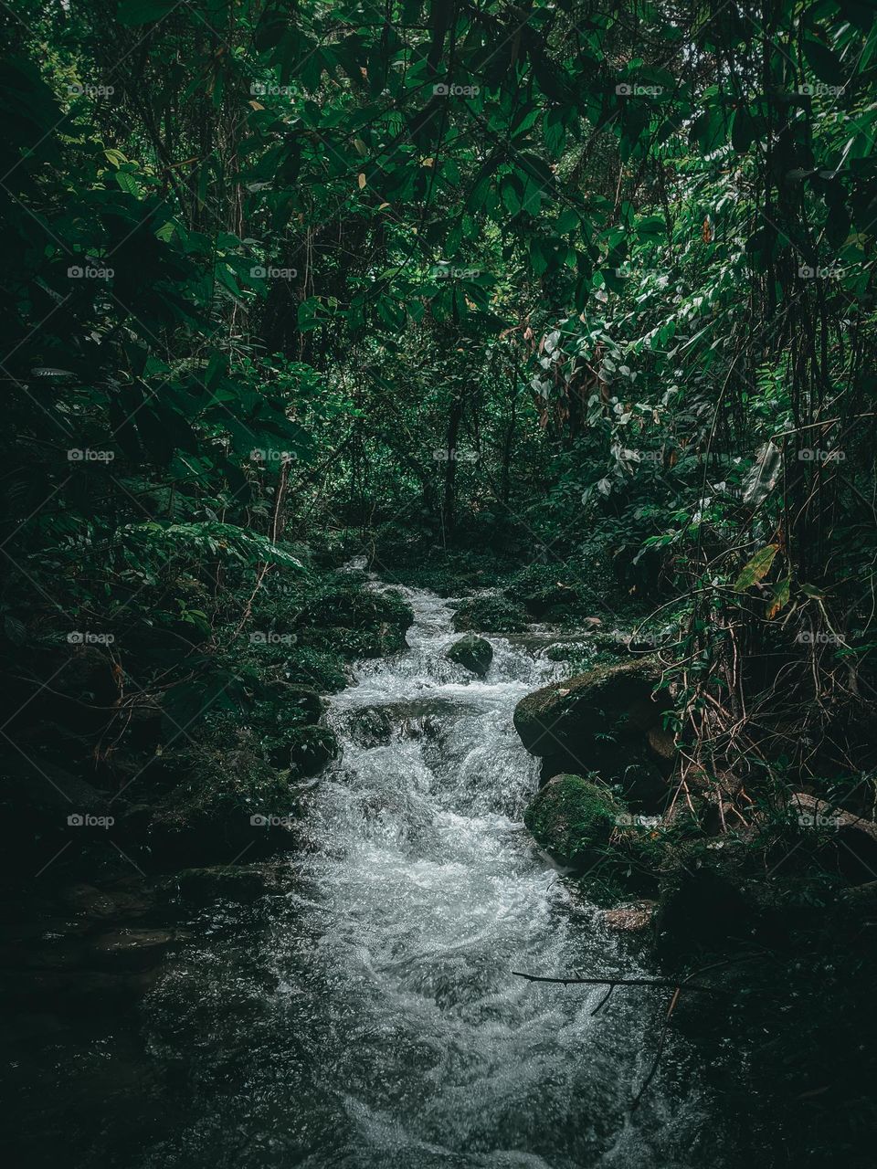 a source of water for use while in the forest