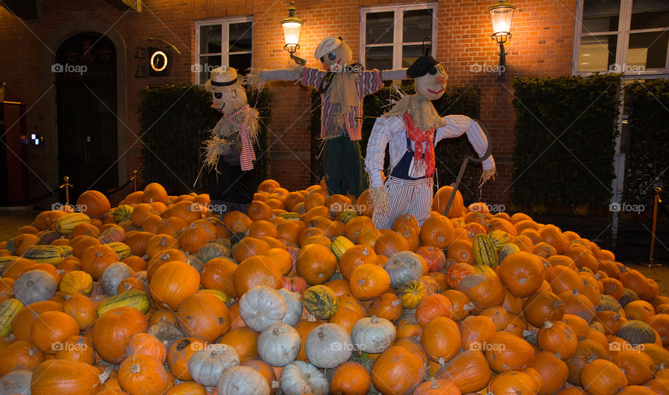 Pumpkins at display at market in Copenhagen Denmark.