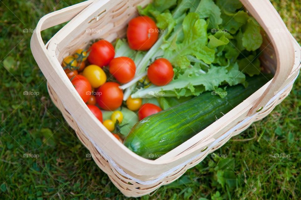 Basket with greens