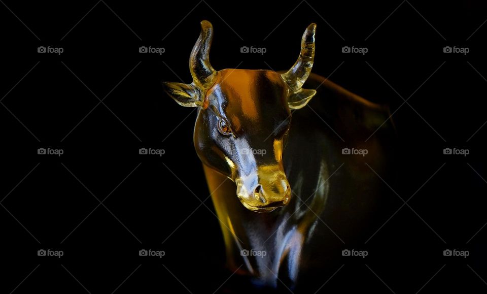 Glass Bull