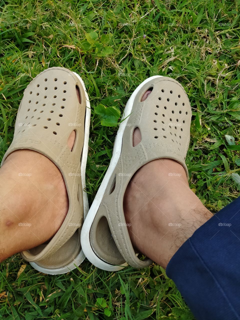 Enjoying grassy ground.