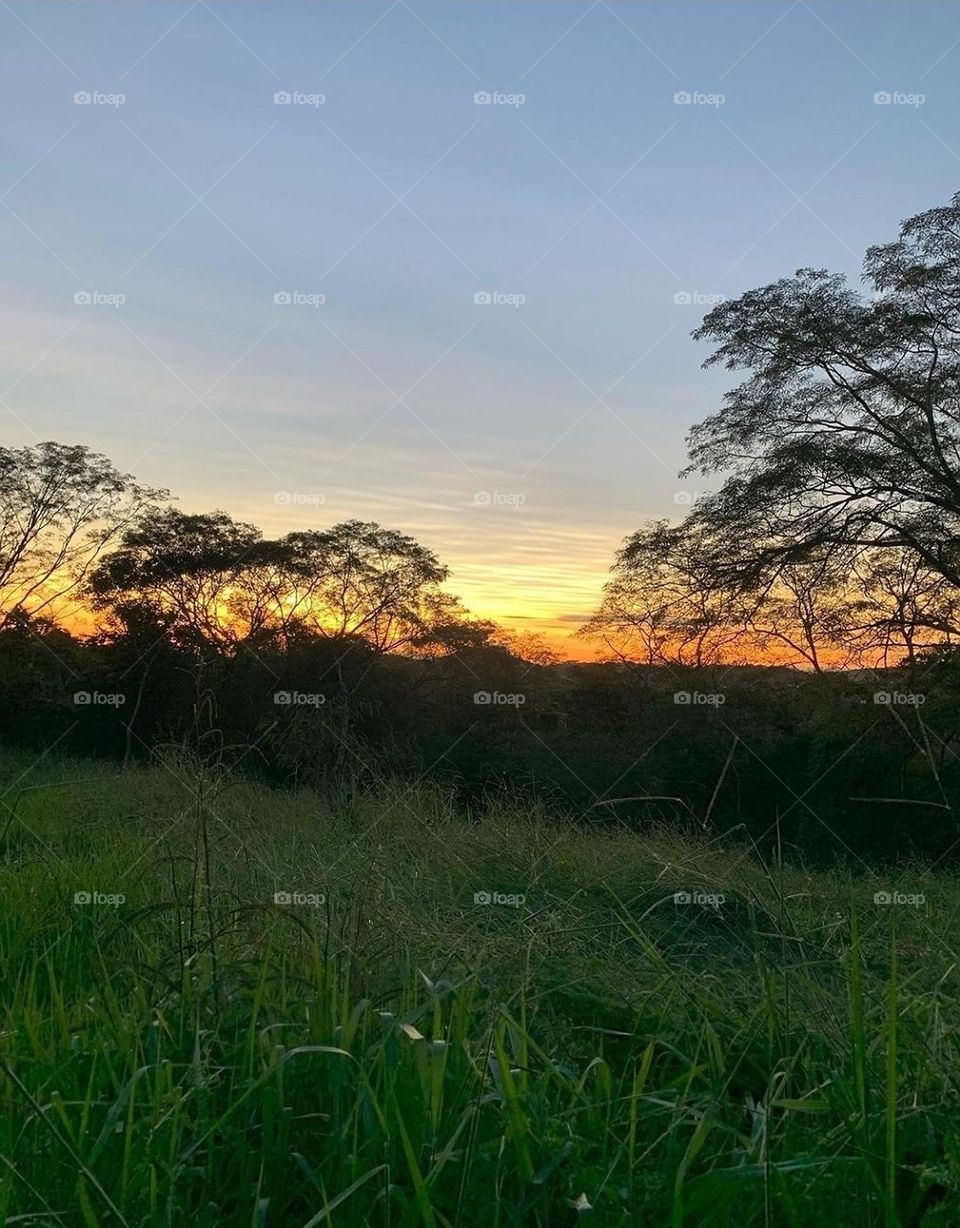 There, the dawn is beautiful With flowers celebrating another day to come