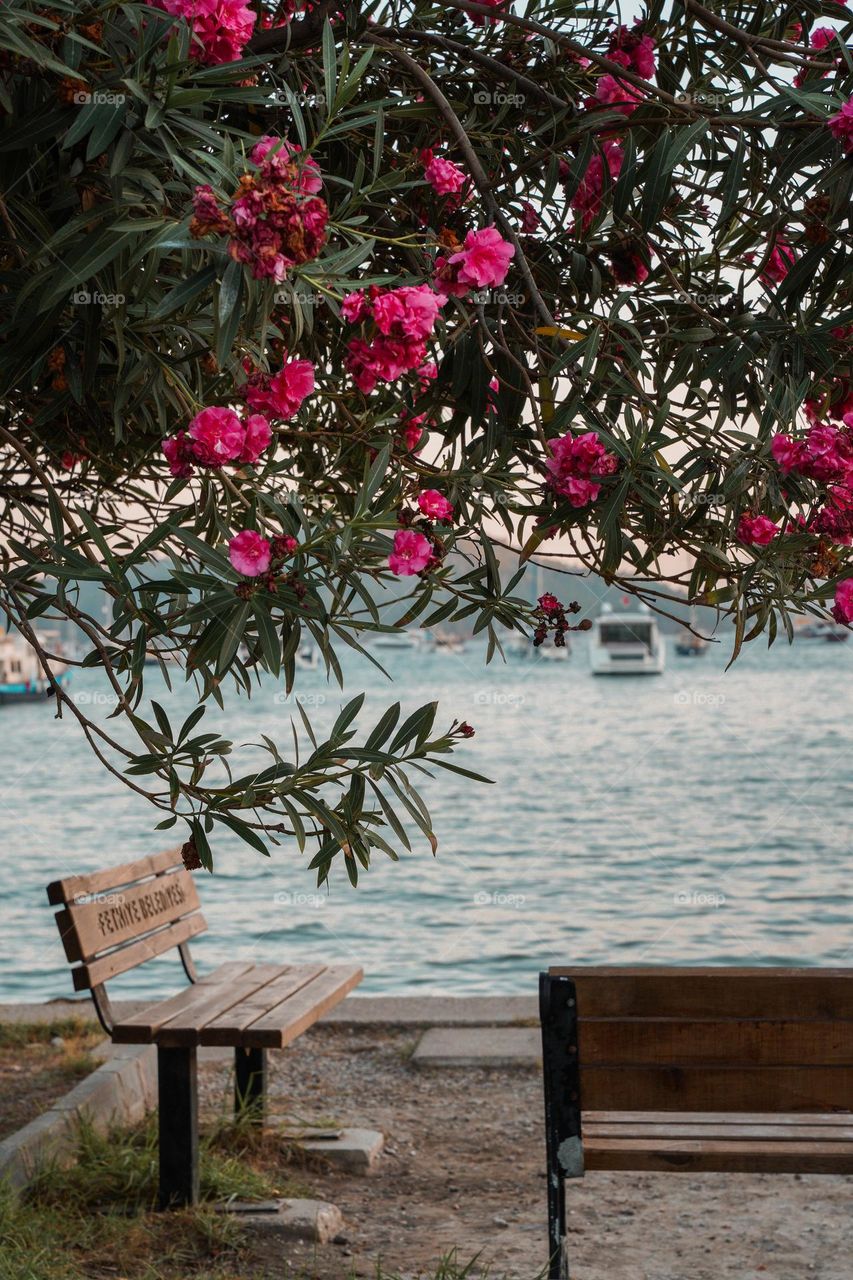 Summer last days, bench in a port walking part