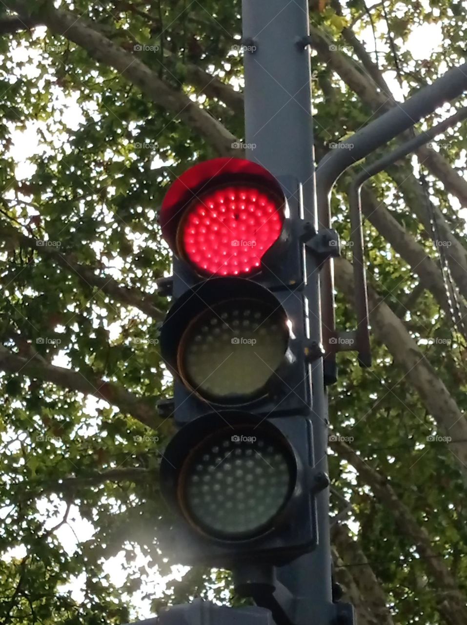 Red traffic light / Semáforo en rojo