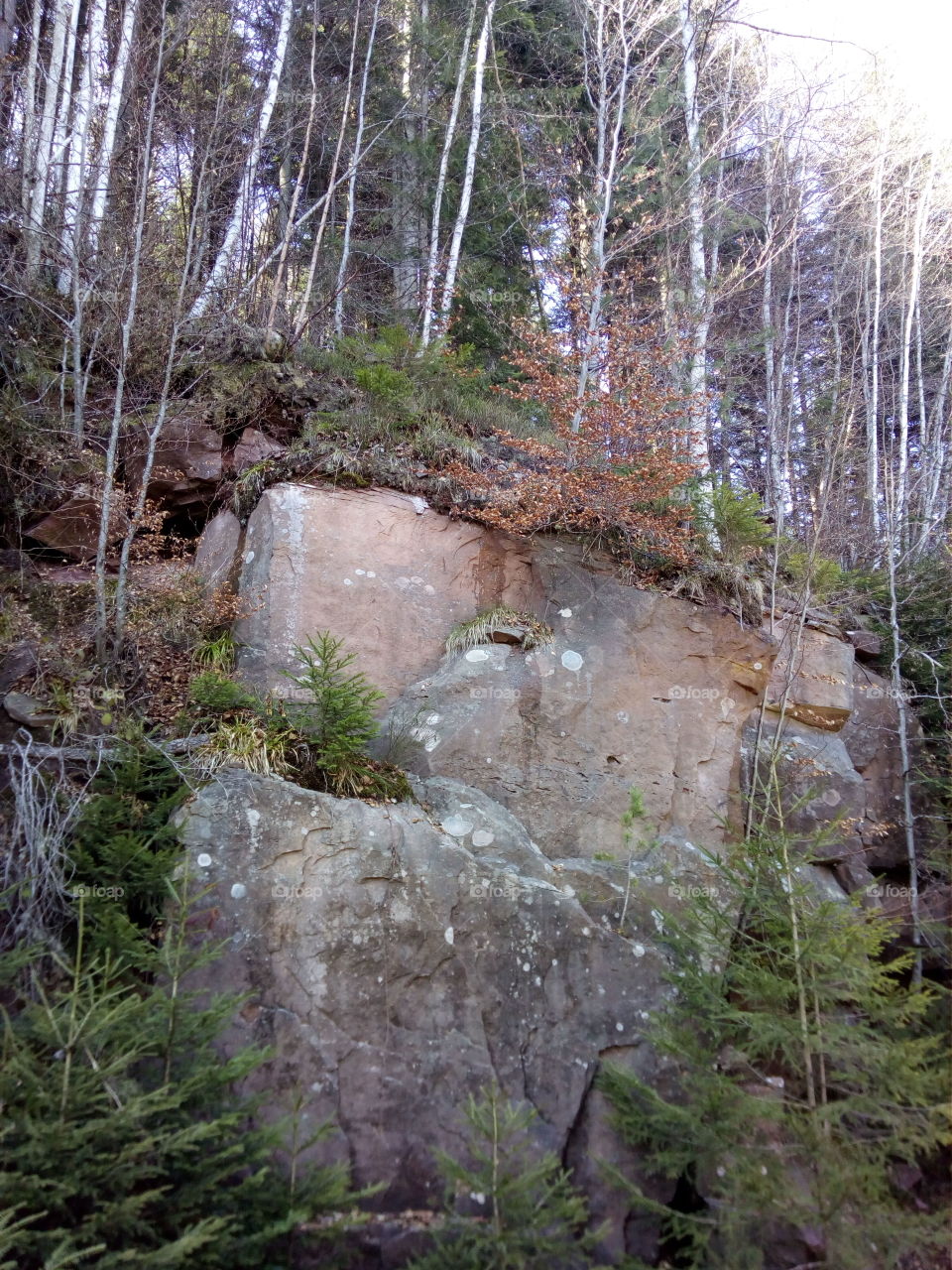 Rocks on a mountain road