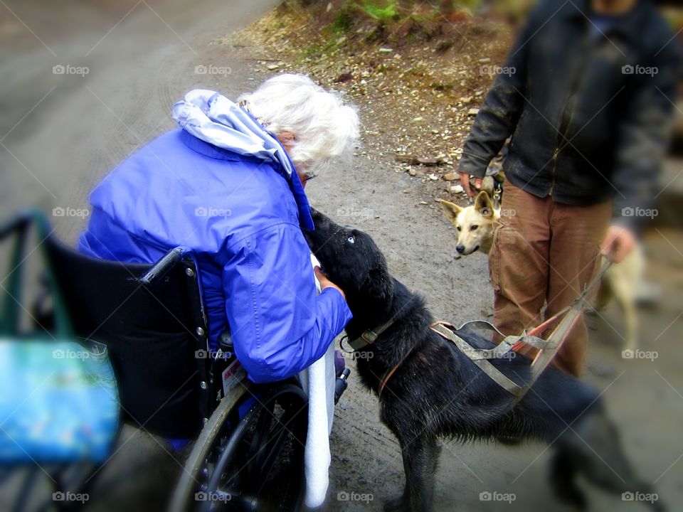 dog loving Grandma in wheelchair