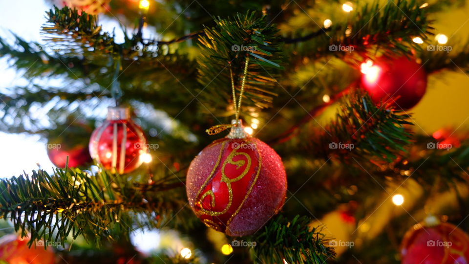 christmas tree, christmas time