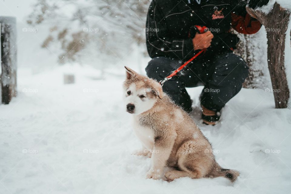 party in snow with his doggy.