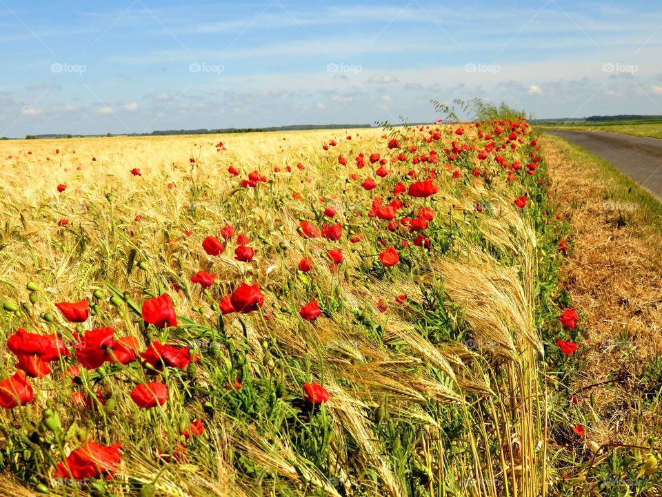 colourful countryside