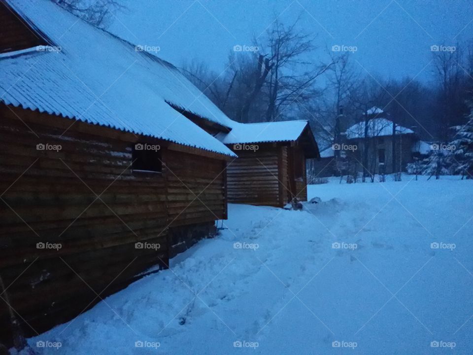 Winter landscape with snow