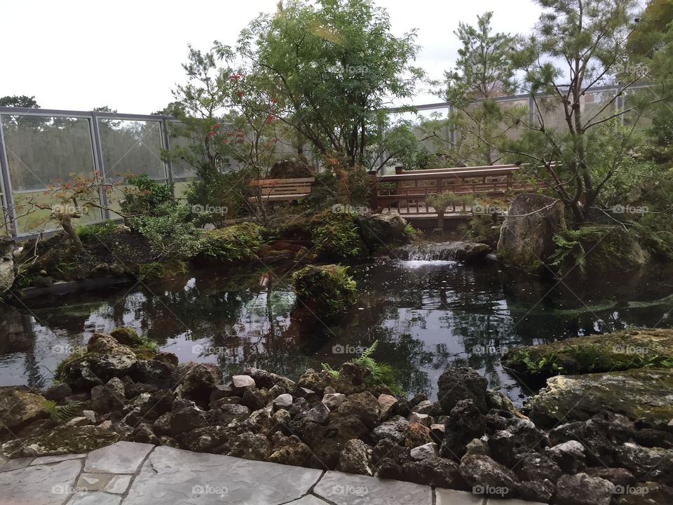 Zen garden 