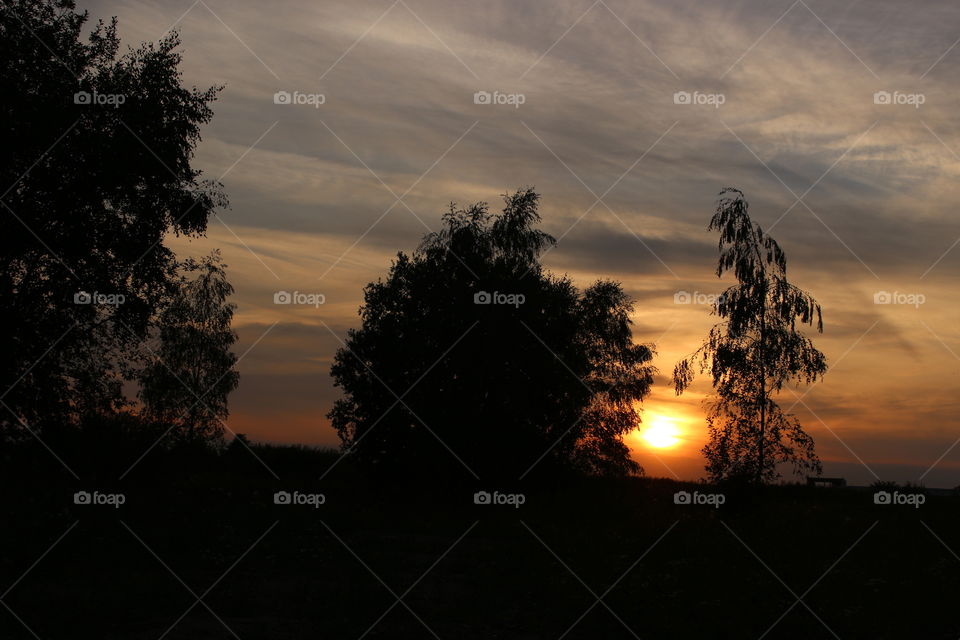 💛 View of a Stunning Sunset in Blue and Yellow Tones with Trees Silhouettes
☀ Beautiful Natural Photo to Enjoy Viewing