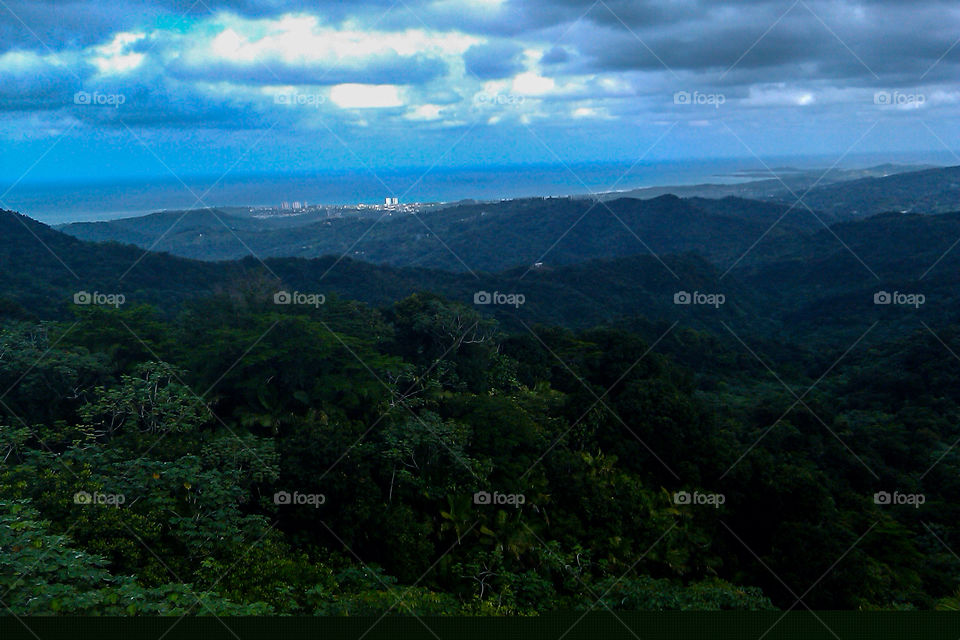 puerto rico rain forest by jasonemarks