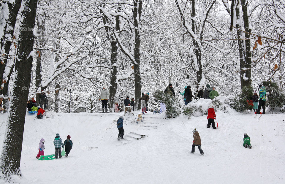 Winter slide in the park