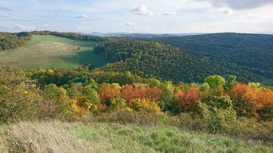 Beautiful autumn landscape in Záhorie region Slovakia