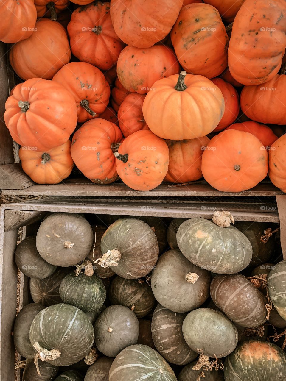 Pumpkins