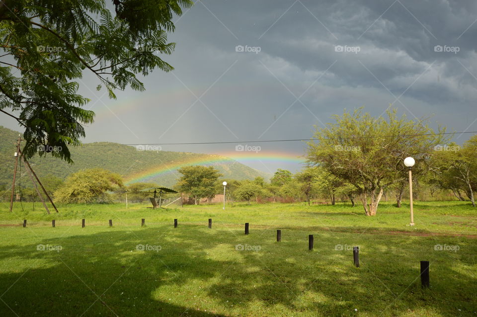 rainbow South African bush