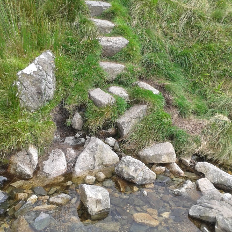 Stone steps rising out of the peaty stream bed.