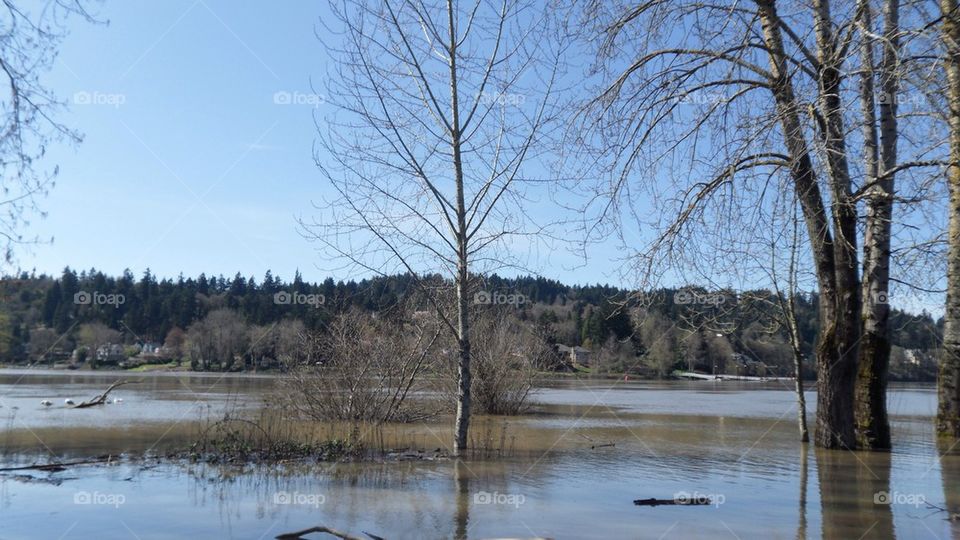 Flood lands 
