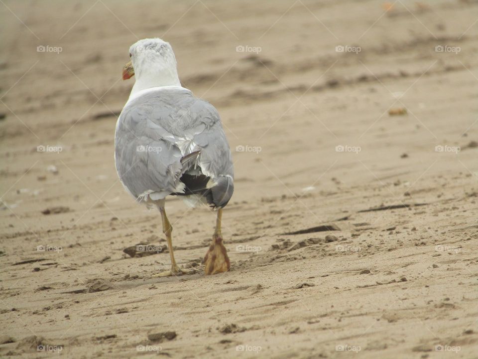 To worry about my own photography