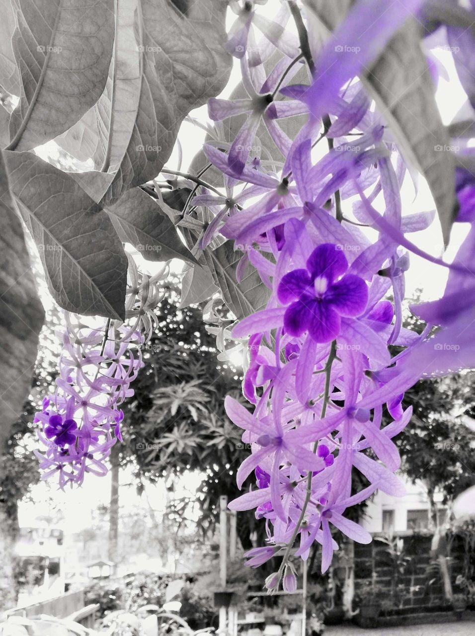 Bouquet purple 