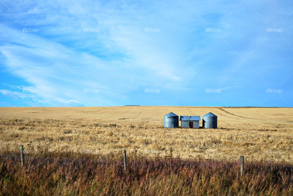 Prairie Field, Alberta Farm