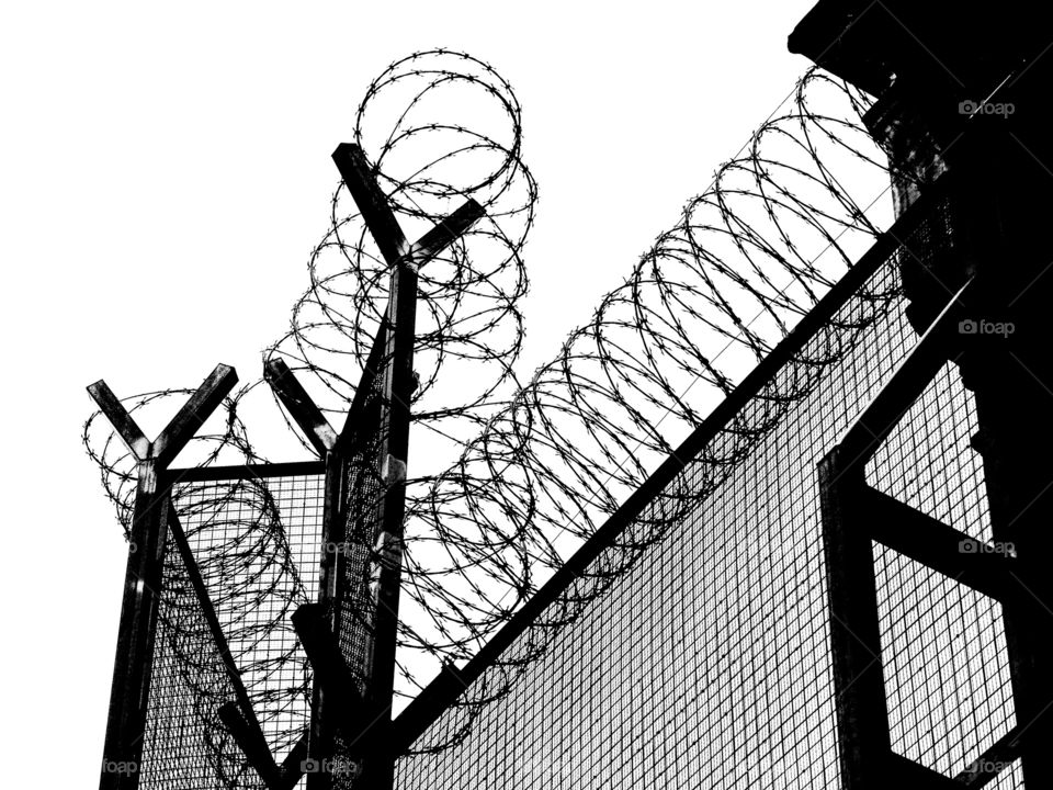 Life in black and white