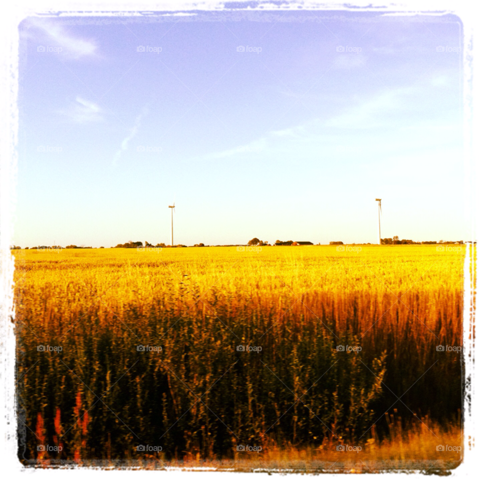 sky sweden summer fields by sommar06