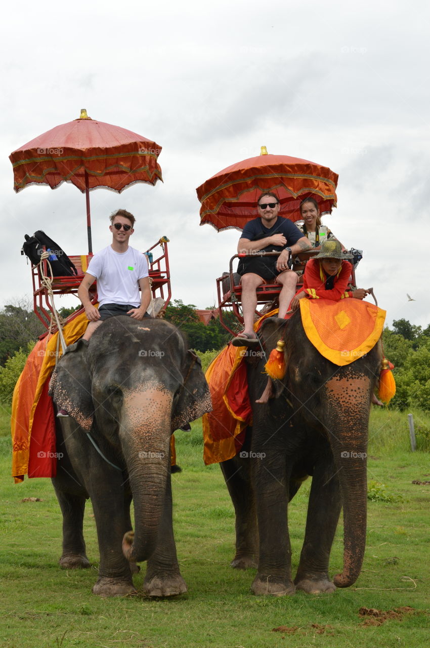 people riding elephants bangkok thailand